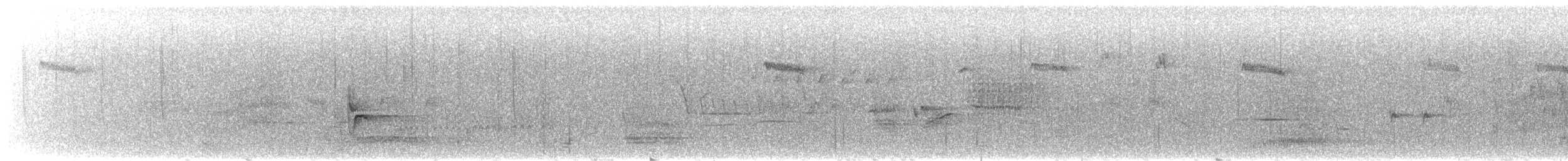 Plumbeous Vireo - ML593631031