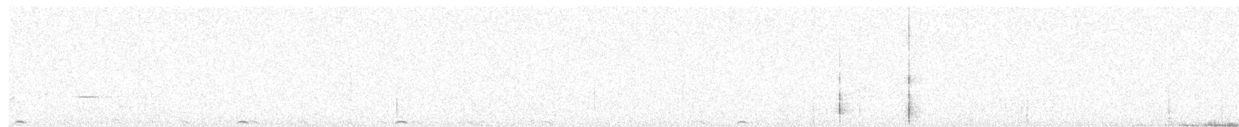 holub křepelčí - ML593656151