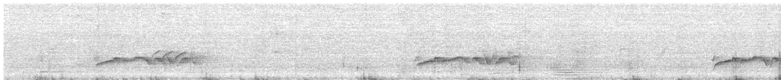 White-browed Bush-Robin - ML593696571