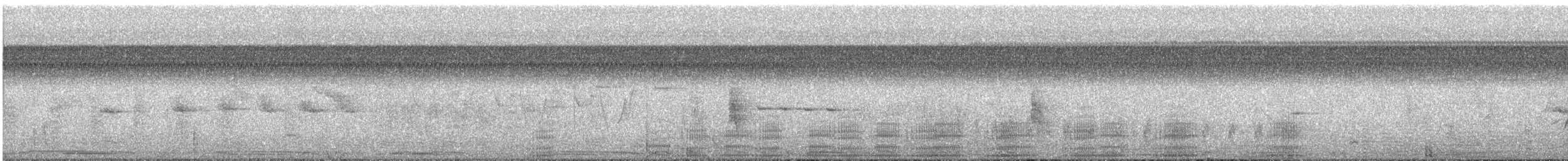 Phalacrocoracidae sp. - ML593697261