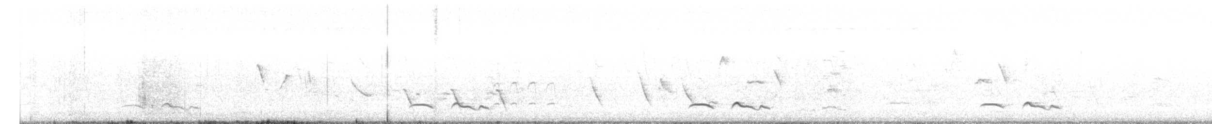 Зозуля білогорла - ML593699261
