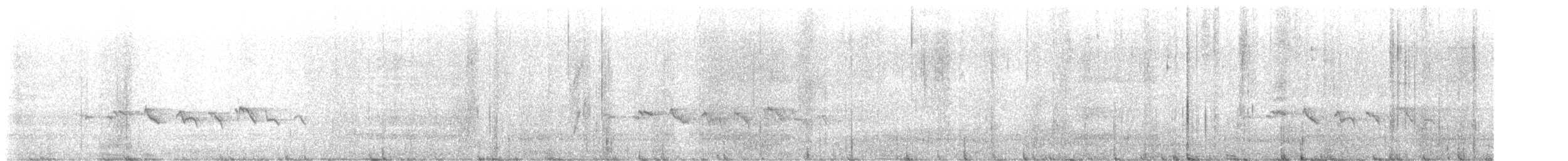 Хөх зоот гургалдай - ML593701041