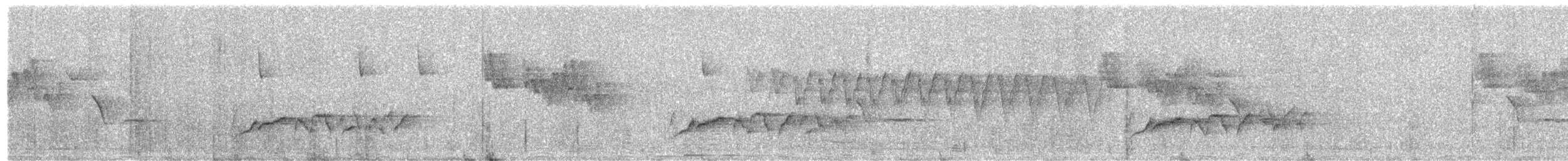 White-browed Bush-Robin - ML593708991