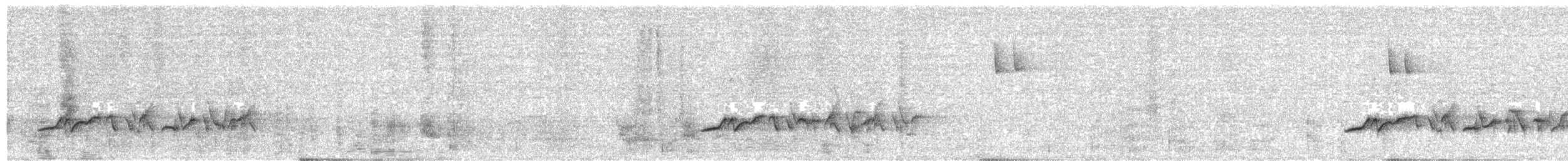 White-browed Bush-Robin - ML593709061