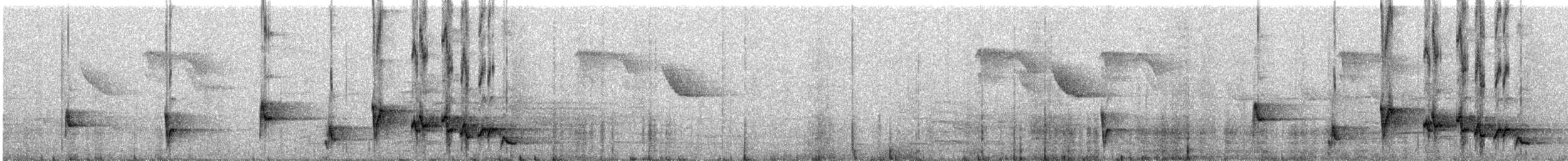 Сахалинский сверчок - ML593752561