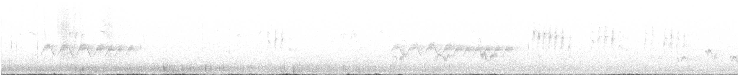 Sperlingsvogel, unbestimmt - ML593753861