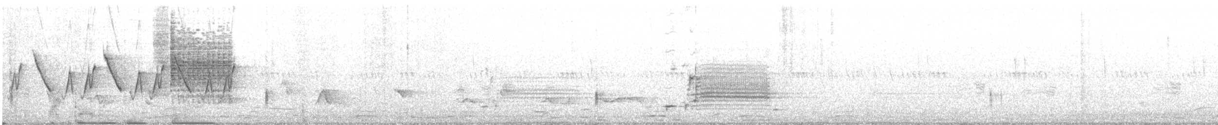 Paruline masquée - ML593755031