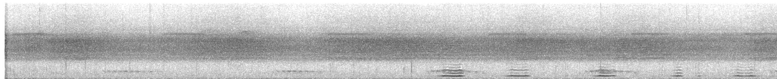 Lattice-tailed Trogon - ML593755221