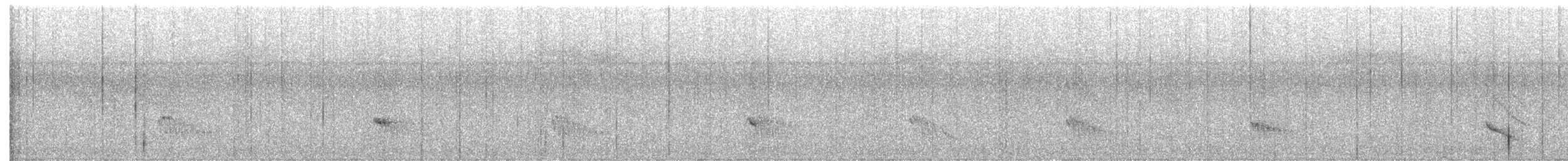 Streifenkopf-Ameisenvogel - ML593755311