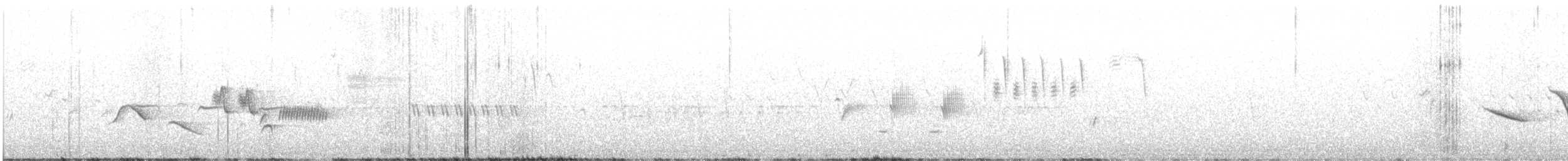 Fox Sparrow (Slate-colored) - ML593755641