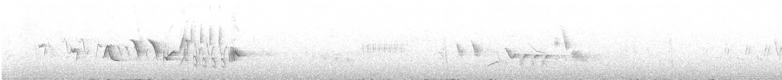 strnadec kaštanový [skupina schistacea] - ML593755671