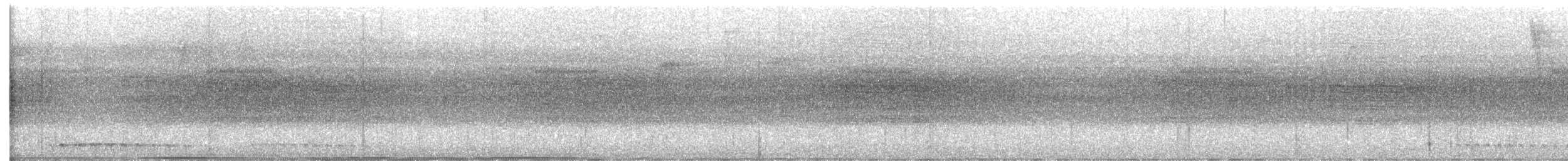 Trogon échelette - ML593755691