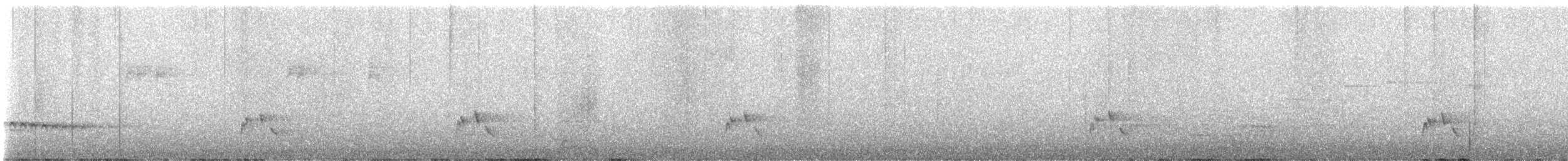 Çizgili Panterkuşu - ML593761101