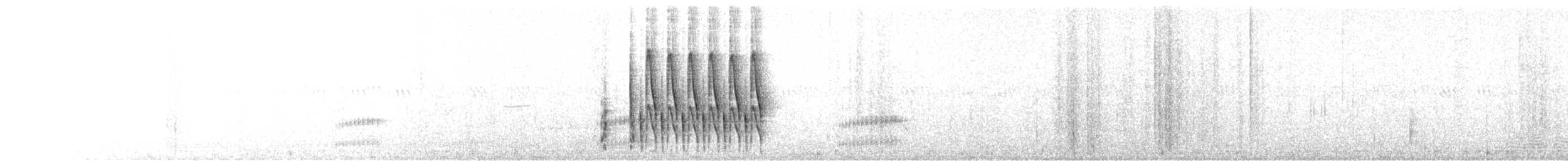 ハシナガヌマミソサザイ（plesius グループ） - ML59377611