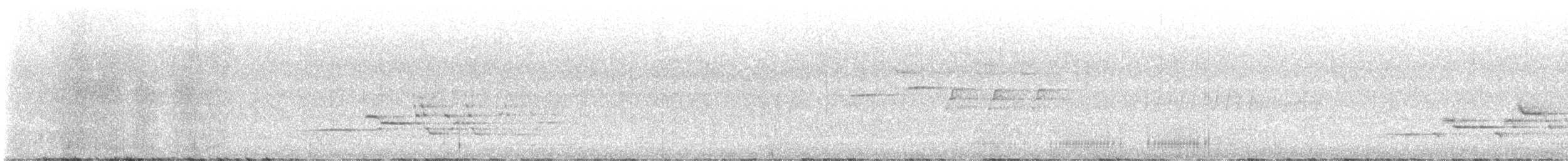 Дрізд-короткодзьоб плямистоволий (підвид faxoni/crymophilus) - ML593776981