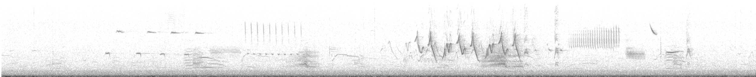 裏海燕鷗 - ML593777501