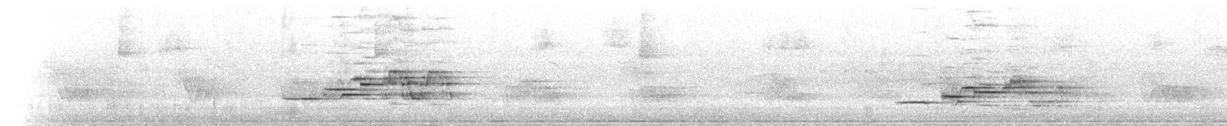 Дрізд-короткодзьоб плямистоволий (підвид faxoni/crymophilus) - ML593780851