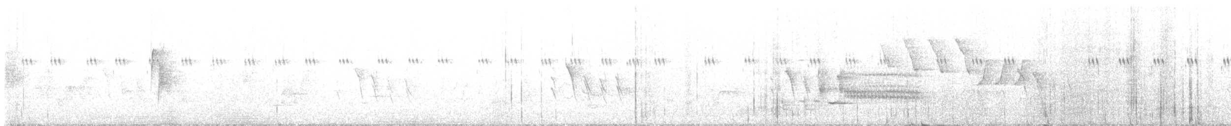 שחרורית אדומת-כנף - ML593789331