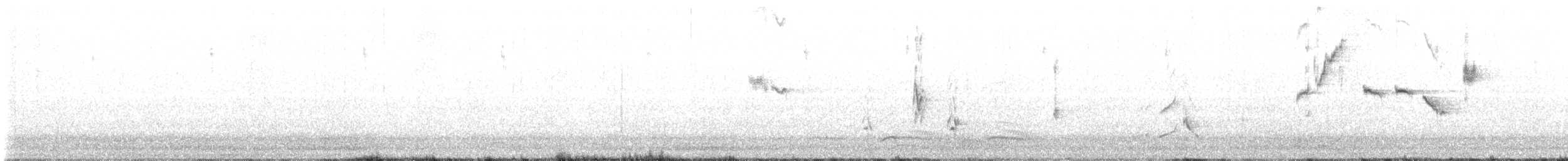 drozdec černohlavý - ML593804811