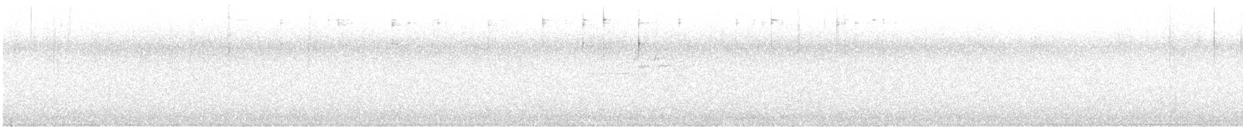 Дрізд-короткодзьоб Cвенсона - ML593817521