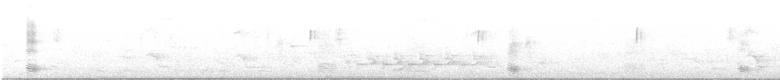 Corneille de rivage - ML593819461