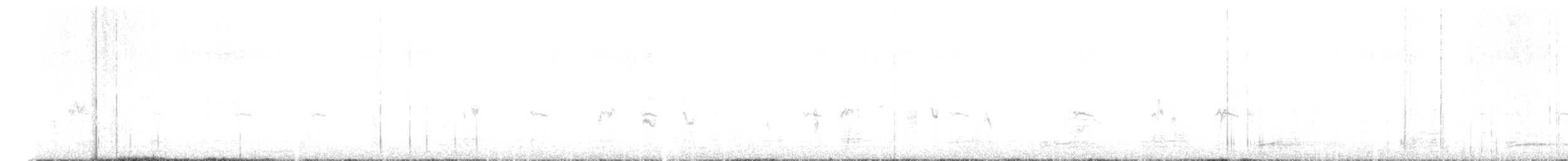 Australrohrsänger - ML593853631
