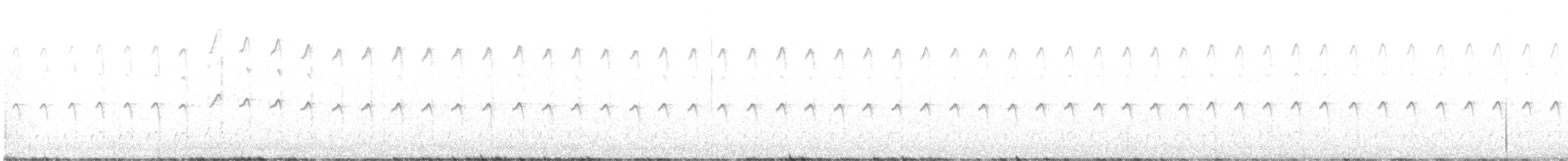 strakapoud americký [skupina harrisi] - ML593857571