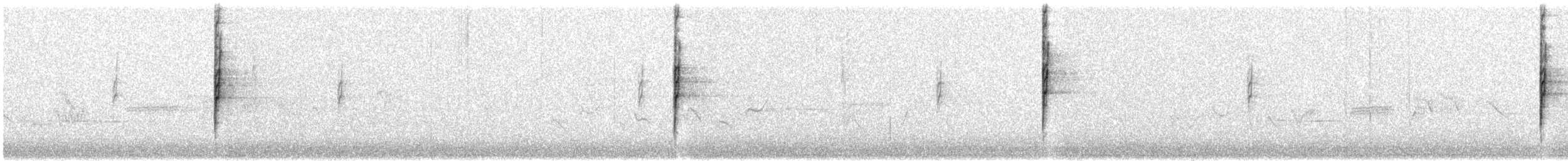 Bruant à couronne blanche (oriantha) - ML593868001