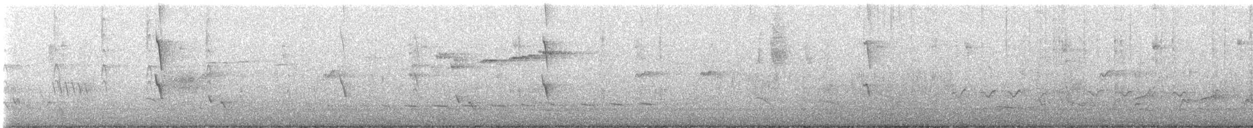 Віялохвістка сиза (підвид albiscapa) - ML593894911