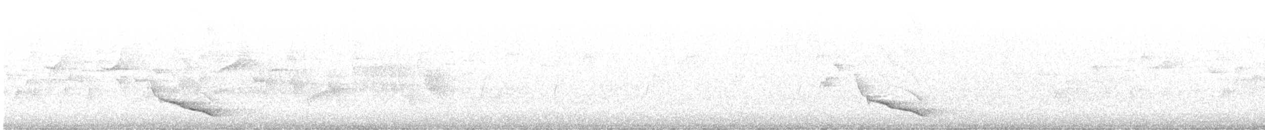 Eurasian Golden Oriole - ML593932841