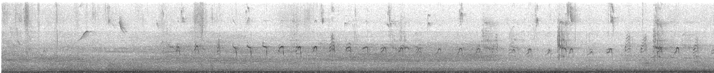 Txilinporta mokolodia - ML593938171