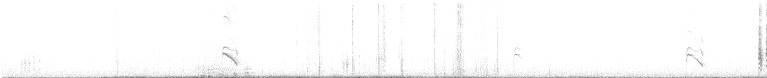 Патагонский курен - ML593940961