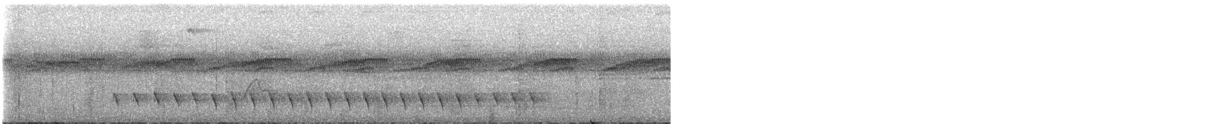 ズキンヒメアリサザイ - ML593945131