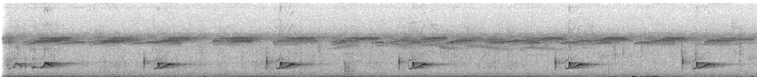 Troglodyte à long bec - ML593945171