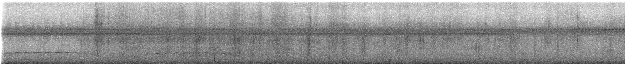 Fleckenbrust-Ameisenvogel - ML593957081