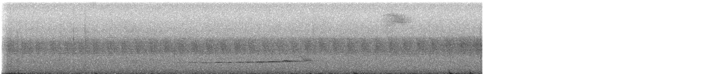 Grallaire de Natterer - ML593968441
