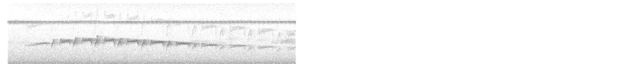Мурав’янка-куцохвіст плямиста - ML593971051