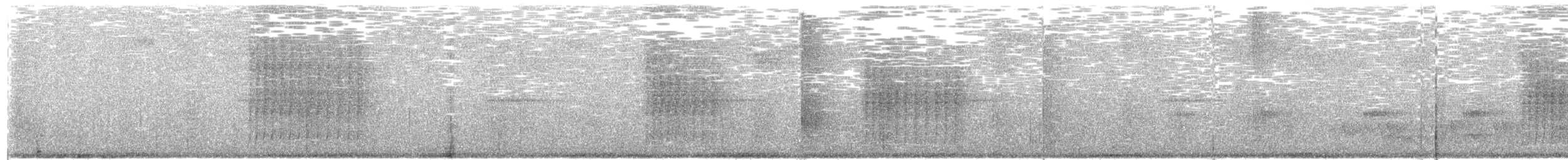 Schwarzgesicht-Ameisenvogel - ML593971491