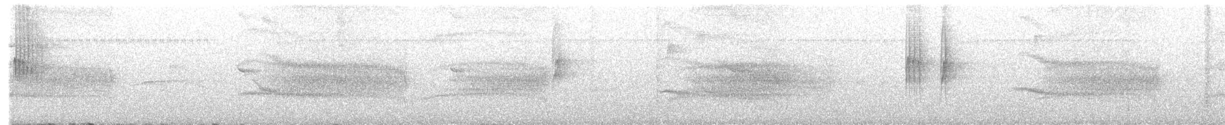 Мурав’янка-куцохвіст плямиста - ML593971841