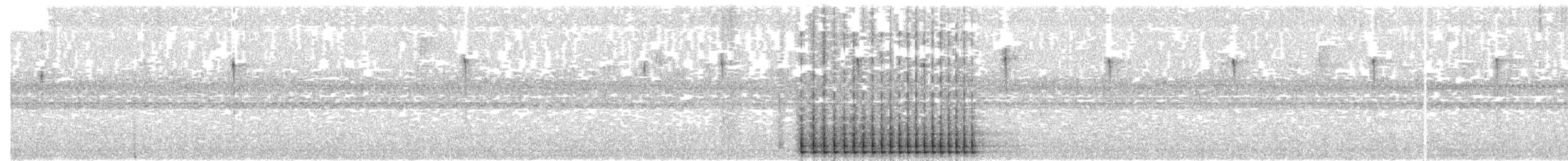 Picamaderos Chaqueño - ML593974521