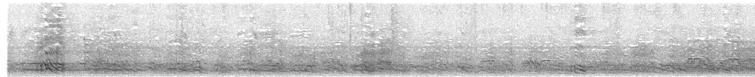 Amazona Frentiazul - ML593975271