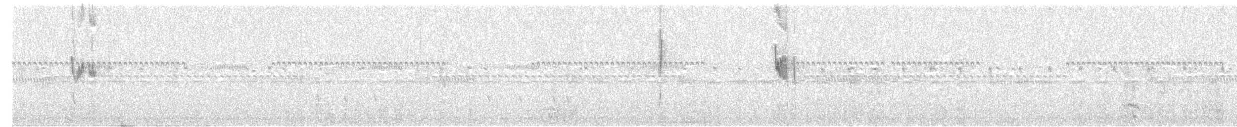 Viudita Chaqueña - ML593978681