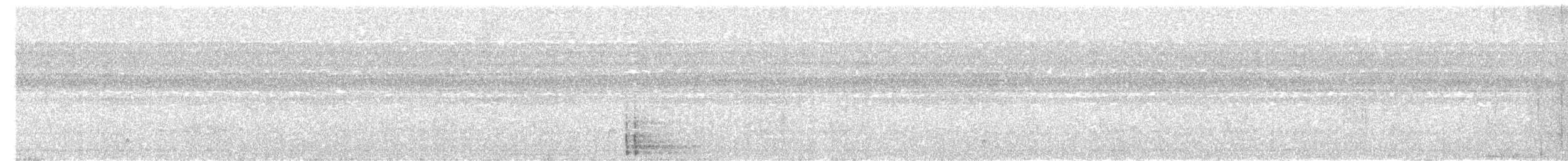 kremryggspett - ML593979471