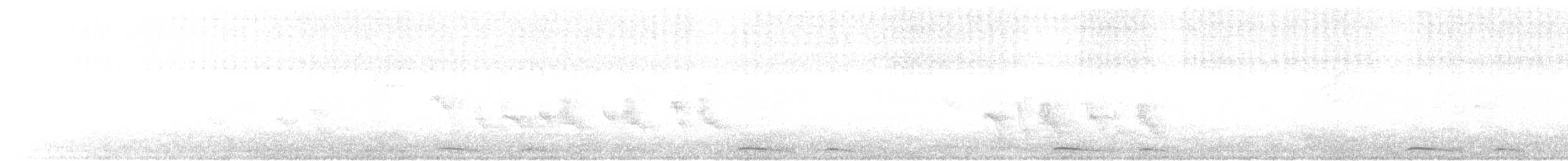 holoubek mexický - ML593984601