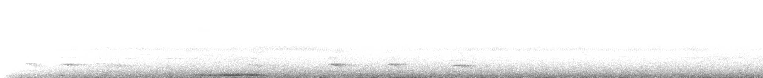 holub bledočelý - ML593987851