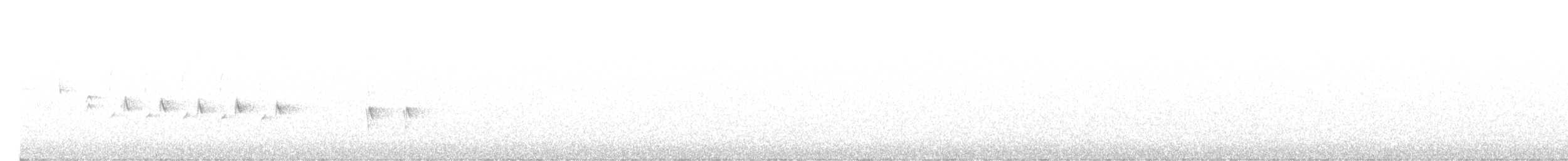 Шишкар ялиновий - ML594001591