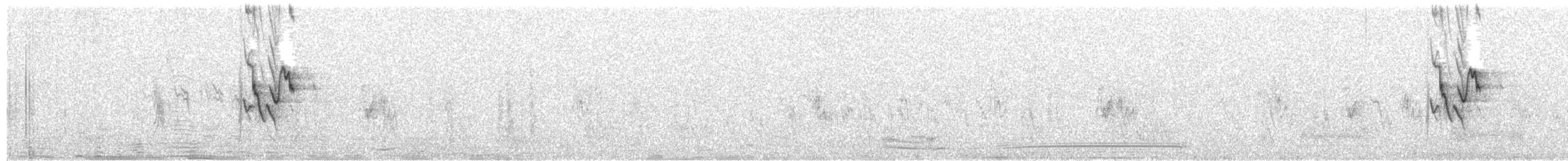 White Wagtail (Transbaikalian) - ML594020391