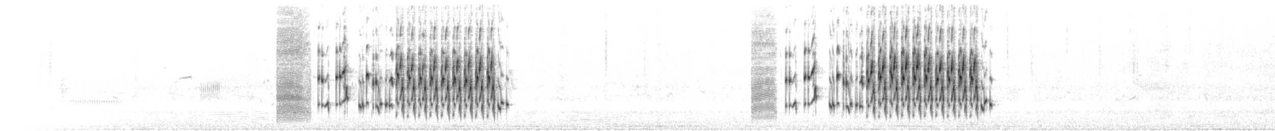 Marsh Wren (palustris Group) - ML594030171