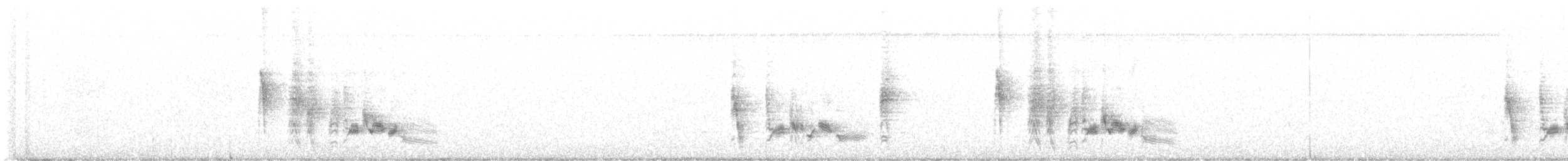 Vireo Ojiblanco (grupo griseus) - ML594042111