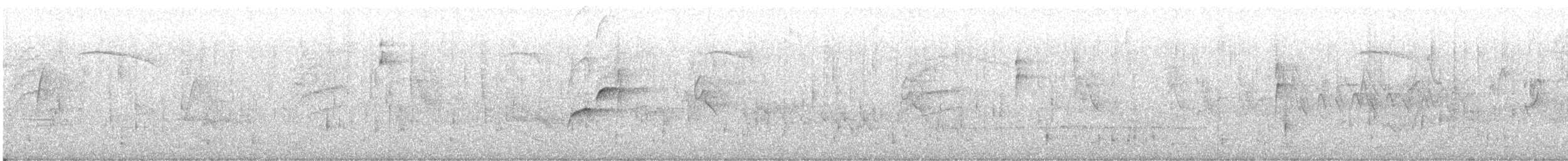 Batı Amerika Sinekkapanı (occidentalis/hellmayri) - ML594056201